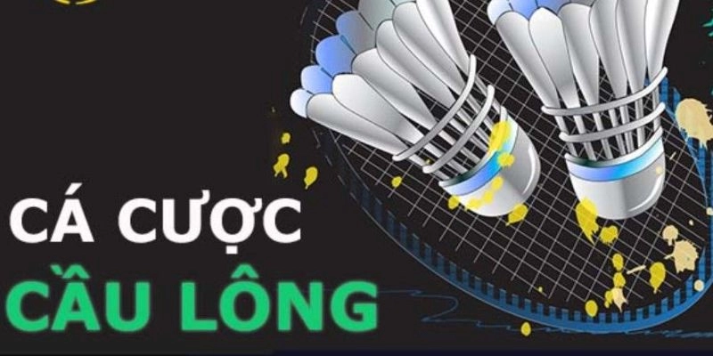 Cá Cược Thể Thao 3 Cá Cược Thể Thao GOWIN